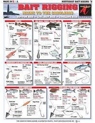 Bait Rigging And Knot Tying Techniques For Inshore
