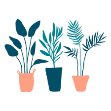 Cute Plants Flat Transparent PNG & SVG Vector