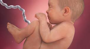 Your Babys Skin How It Develops During Pregnancy Babycenter