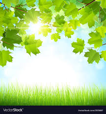 natural background royalty free vector