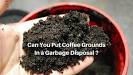 Can you put coffee grounds in garbage 