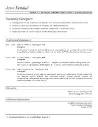 What Should I put on my First CV   Template  Personal Profile Statement on a CV Free Examples CV Plaza