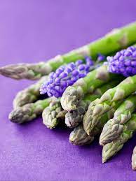 asparagus smell left ancients aghast
