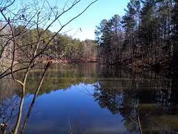 laurel lake property owners