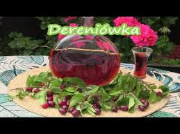 Nalewka z owoców derenia jadalnego - dereniówka - YouTube