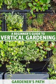 beginner s guide to vertical gardening