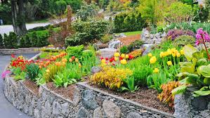 affordable landscaping ideas