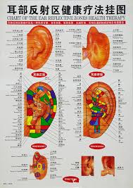 China Myofascial Release Poster Muscle Rolling Chart Fascia