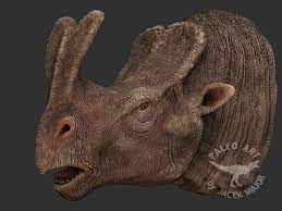 This resembles a battering ram, hence the name embolotherium. Embolotherium Paleo Art Prehistoric Wildlife Sculpture