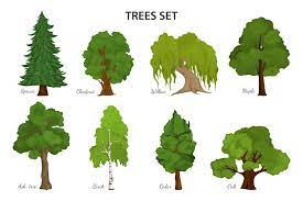 types of trees images free