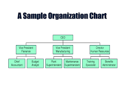 Expository Company Organisation Chart Example Construction