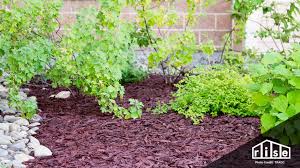 Check spelling or type a new query. Recycled Rubber Mulch Vs Wood Mulch Pros And Cons