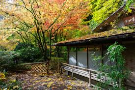 Fall Color Updates Portland Japanese