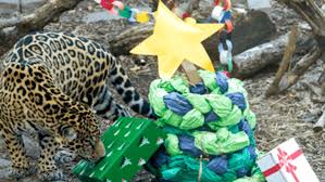 tulsa zoo holds dollar day toy drive