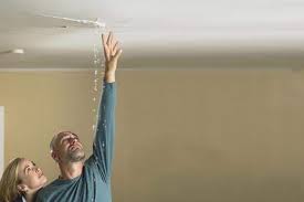 i have a ceiling leak brisco roofing