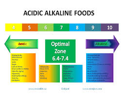 Top 10 Alkaline Foods List For A Healthy Diet Alkaline