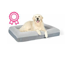 When you think you bought your dog the perfect bed to relax and sleep in, you soon notice that your dog. 7 Best Indestructible Dog Bed Options Australia 2021 Buyers Guide Gentledogtrainers Com Au