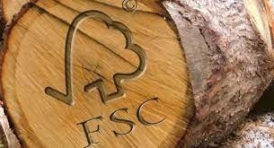 Fsc has joined 100+ ngos supporting the #together4forests movement urging citizens to take part in a european commission public. Greenpeace Beeindigt Deels Het Lidmaatschap Van De Forest Stewardship Council Fsc Duurzaam Ondernemen
