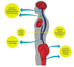 Introduction - SCIRE Professional