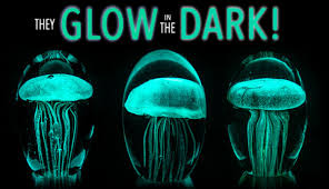 Glow In The Dark Jellyfish Sculptures