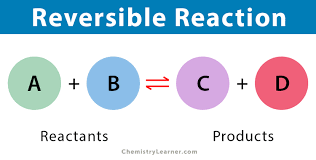 Reversible Reaction Definition