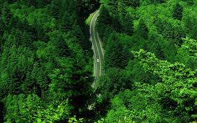 wallpaper aerial view of road in the