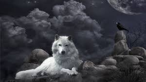 A collection of the top 73 hd wolf wallpapers and backgrounds available for download for free. Wolf Wallpapers Hd