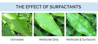 What Is A Surfactant