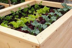 Corner shaped raised garden bed. How To Make A Raised Bed For Your Garden