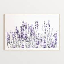 Lavender Print Farmhouse Wall Art