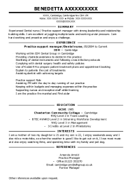 Uk Format Resume   Free Resume Example And Writing Download Template net