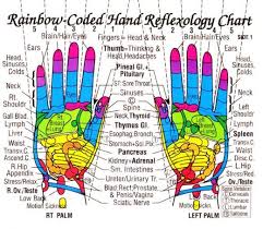 Reflexology Chart Hand Reflexology Chart Hand