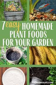 Homemade Plant Food 7 Easy Natural