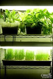 Build A Grow Light System For Starting Seeds Indoors