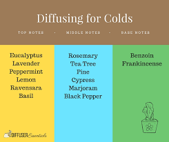 Essential Oils For Colds Diffuser Essentials