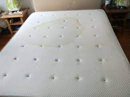 how to clean urine from mattress de
