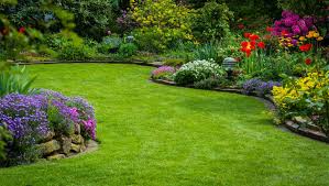 Lawn Care Tips For Every Season Belvoir