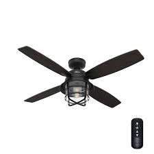 ceiling fan with light and remote