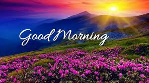 Image result for good morning