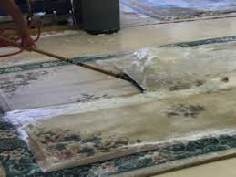 houston rug cleaning service oriental