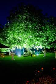 Great Example Of Uplighting A Tree So Simple But So Elegant