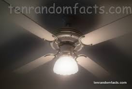 ceiling fan ten random facts