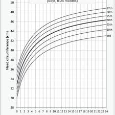 Head Circumference For Age Percentile Curves For Brazilian
