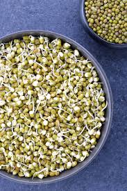 mung bean sprouts moong sprouts how