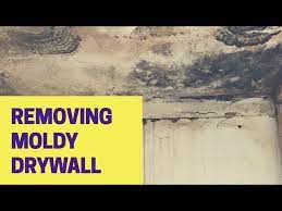 How To Remove Moldy Drywall Get Rid Of