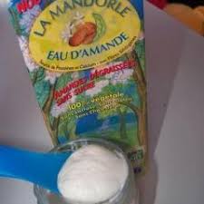 yaourt au lait végétal d amande bio