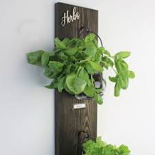 Wall Hanging Herb Garden With Rustic