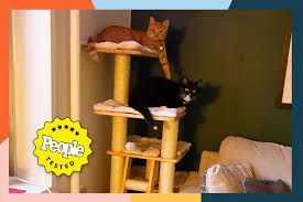 the 10 best cat trees of 2024 tested