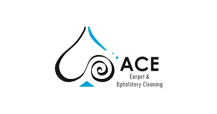 carpet cleaner bellevue hill ace