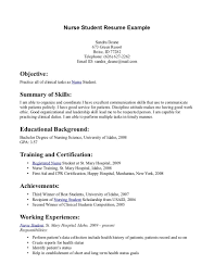 CV Example   StudentJob   StudentJob Pinterest